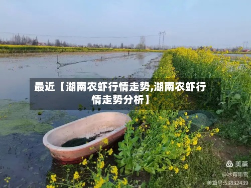 最近【湖南农虾行情走势,湖南农虾行情走势分析】