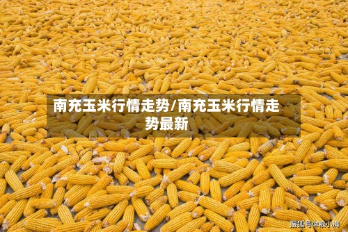 南充玉米行情走势/南充玉米行情走势最新