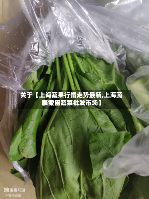 关于【上海蔬果行情走势最新,上海蔬菜费用表今日蔬菜批发市场】