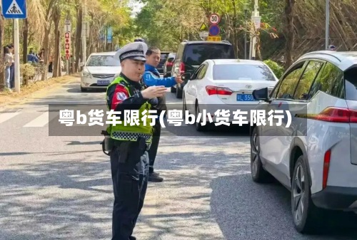 粤b货车限行(粤b小货车限行)-第2张图片