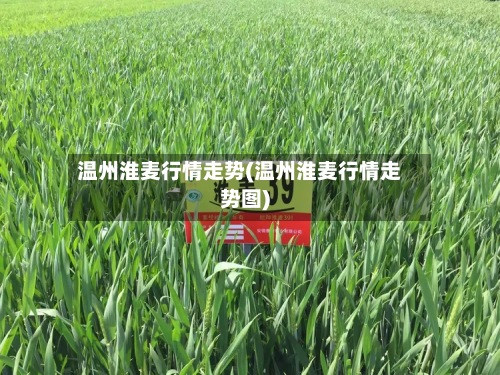 温州淮麦行情走势(温州淮麦行情走势图)-第3张图片