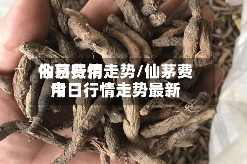 仙茅费用今日行情走势/仙茅费用今日行情走势最新