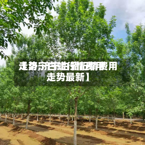【济宁白蜡行情费用走势,济宁白蜡行情费用走势最新】-第2张图片
