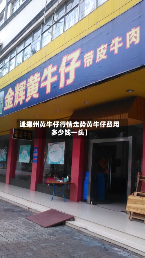 近来
【郑州黄牛仔行情走势黄牛仔费用
多少钱一头】-第2张图片