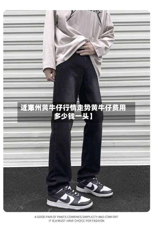 近来【郑州黄牛仔行情走势黄牛仔费用多少钱一头】