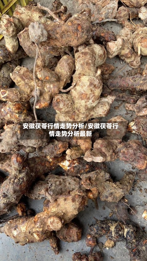 安徽茯苓行情走势分析/安徽茯苓行情走势分析最新-第3张图片