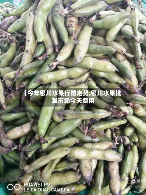 【今年银川水果行情走势,银川水果批发市场今天费用】