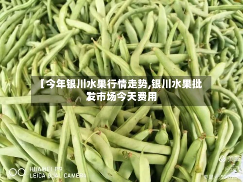【今年银川水果行情走势,银川水果批发市场今天费用】-第3张图片