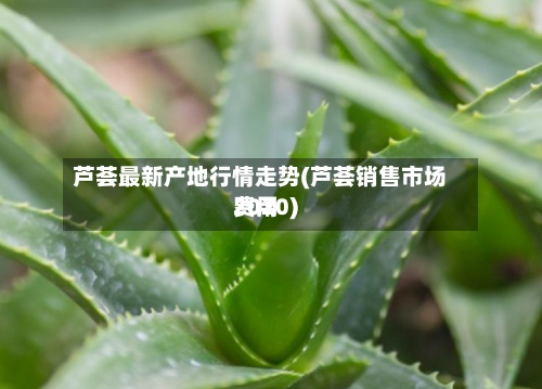 芦荟最新产地行情走势(芦荟销售市场费用2020)