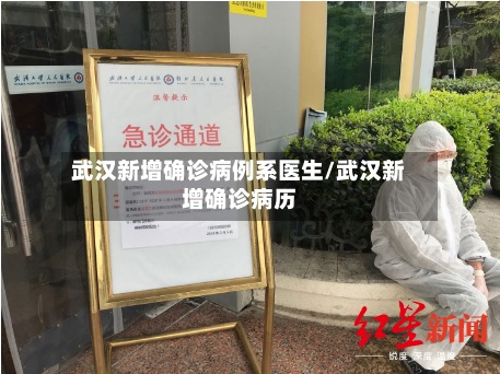 武汉新增确诊病例系医生/武汉新增确诊病历