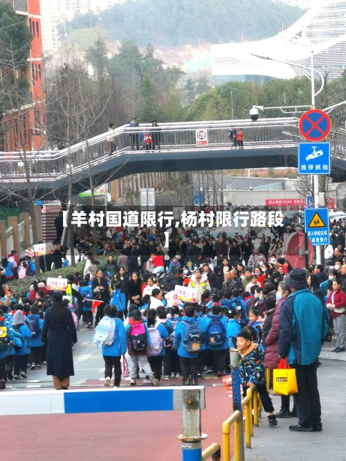 【羊村国道限行,杨村限行路段】