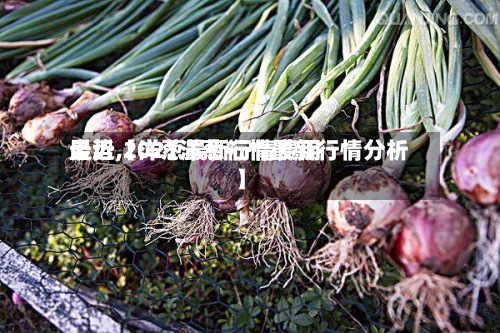 最近【洋葱最新行情费用
走势,2021洋葱行情最新行情分析】-第2张图片