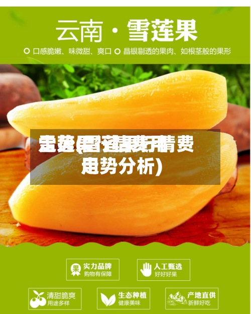 雪莲果行情费用
走势(雪莲果行情费用
走势分析)-第2张图片