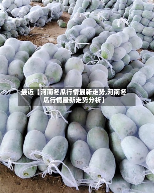 最近【河南冬瓜行情最新走势,河南冬瓜行情最新走势分析】-第2张图片