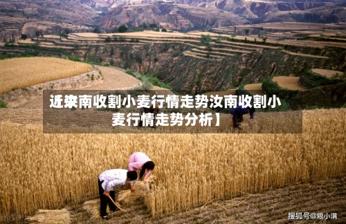 近来
【汝南收割小麦行情走势汝南收割小麦行情走势分析】