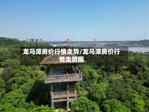 龙马潭房价行情走势/龙马潭房价行情走势图-第2张图片