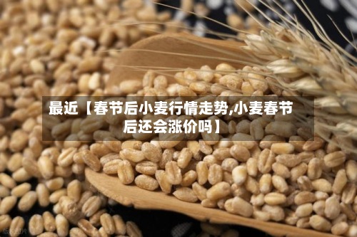 最近【春节后小麦行情走势,小麦春节后还会涨价吗】-第3张图片