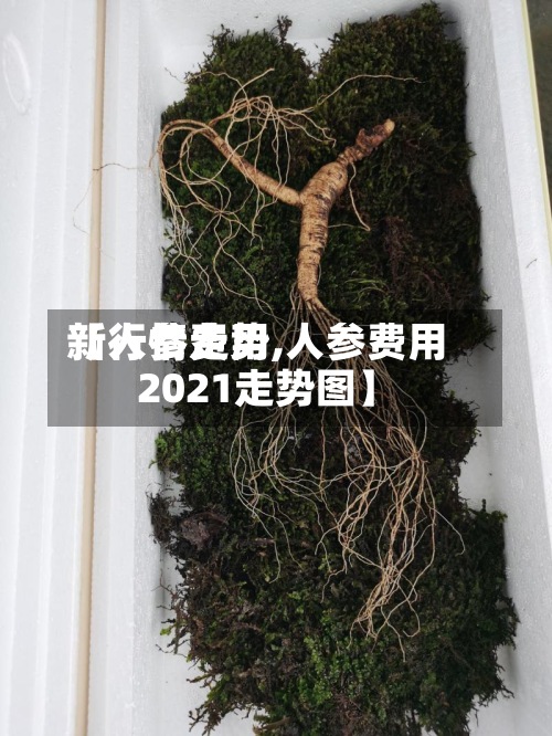 【人参费用新行情走势,人参费用2021走势图】