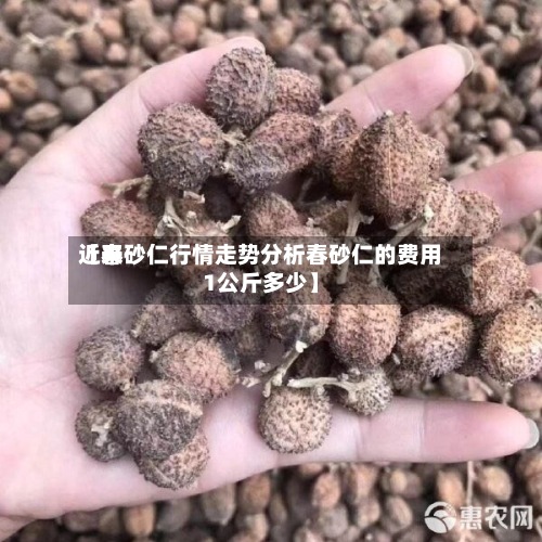 近来【春砂仁行情走势分析春砂仁的费用1公斤多少】-第2张图片
