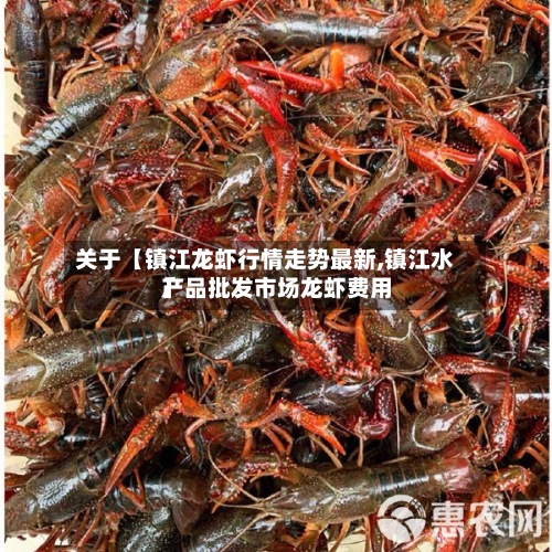 关于【镇江龙虾行情走势最新,镇江水产品批发市场龙虾费用】