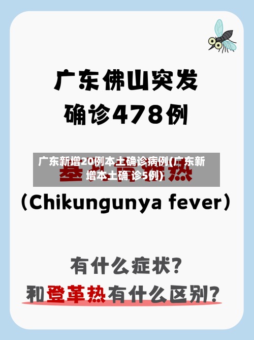 广东新增20例本土确诊病例(广东新增本土确 诊5例)