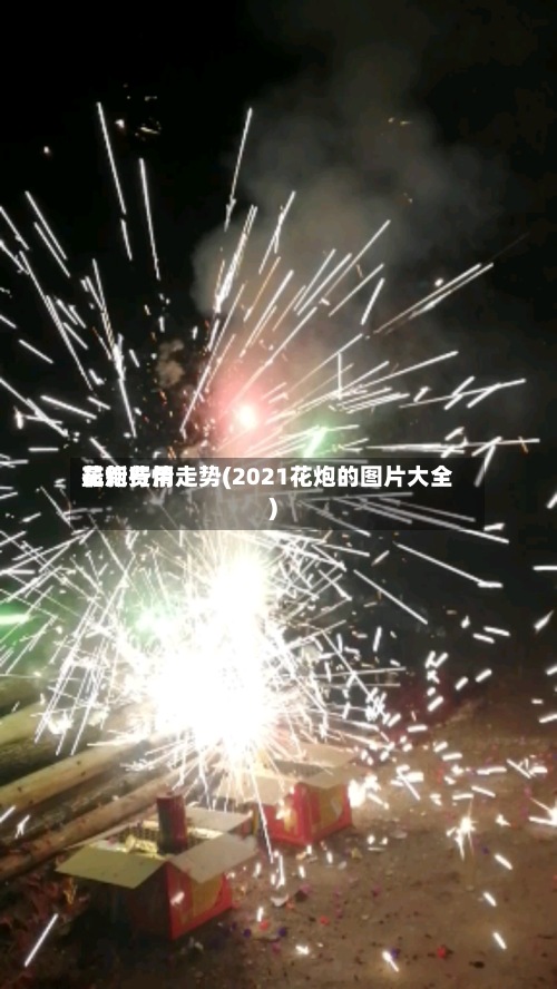 花炮费用
最新行情走势(2021花炮的图片大全)-第3张图片