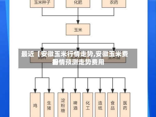最近【安徽玉米行情走势,安徽玉米费用行情预测走势费用】-第2张图片