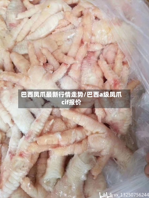 巴西凤爪最新行情走势/巴西a级凤爪cif报价-第2张图片