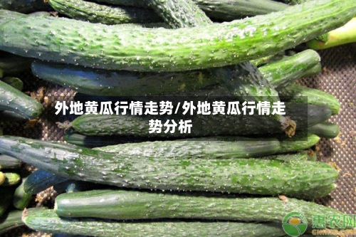 外地黄瓜行情走势/外地黄瓜行情走势分析