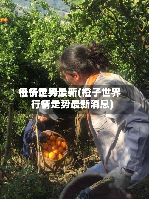 橙子世界
行情走势最新(橙子世界
行情走势最新消息)