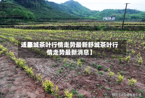近来
【舒城茶叶行情走势最新舒城茶叶行情走势最新消息】