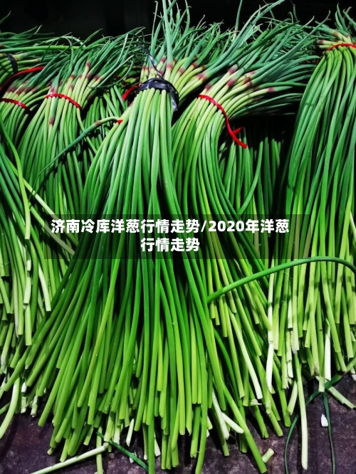 济南冷库洋葱行情走势/2020年洋葱行情走势
