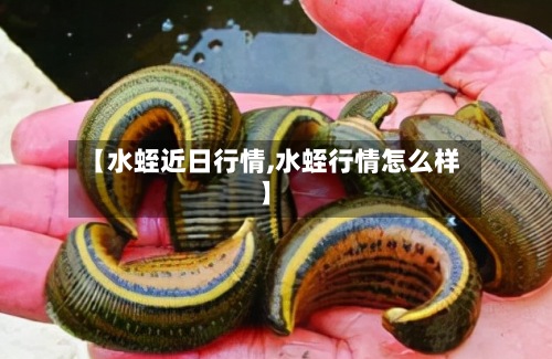 【水蛭近日行情,水蛭行情怎么样】-第2张图片