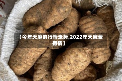 【今年天麻的行情走势,2022年天麻费用
行情】-第2张图片