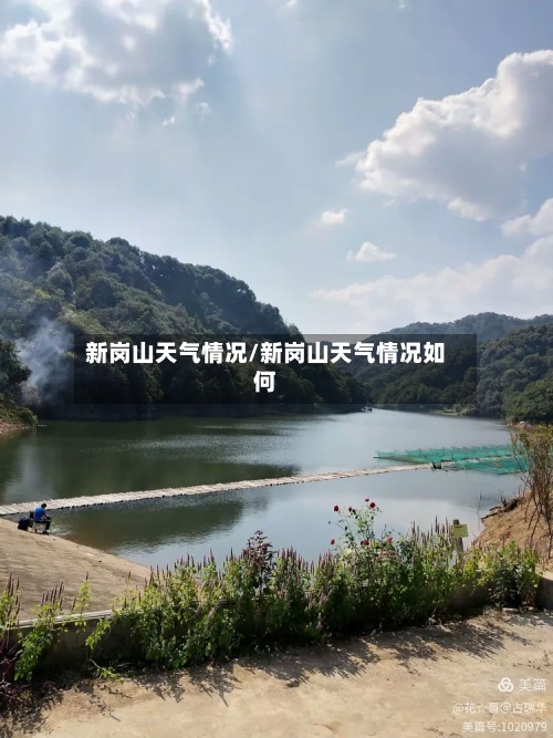 新岗山天气情况/新岗山天气情况如何
