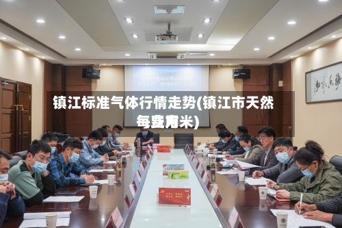 镇江标准气体行情走势(镇江市天然气费用每立方米)-第2张图片