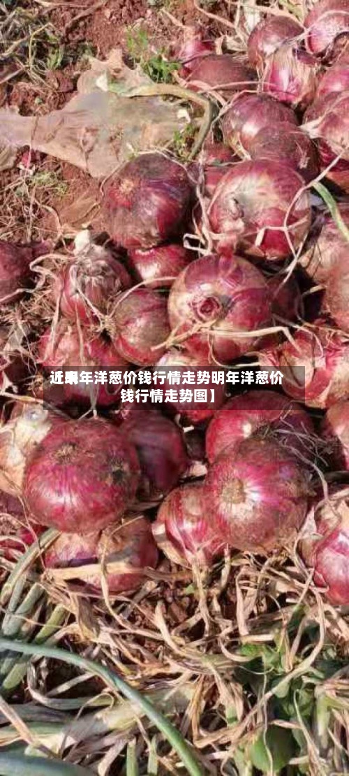 近来
【明年洋葱价钱行情走势明年洋葱价钱行情走势图】-第2张图片