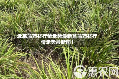 近来【菖蒲药材行情走势最新菖蒲药材行情走势最新图】