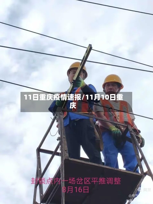 11日重庆疫情速报/11月10日重庆-第3张图片