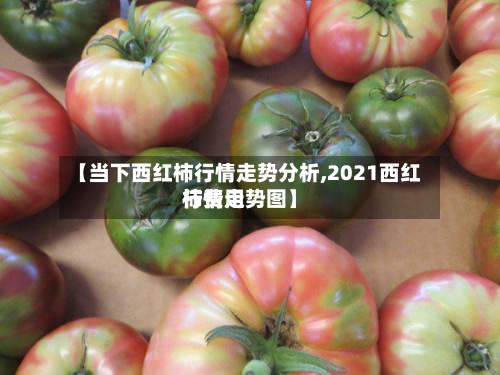 【当下西红柿行情走势分析,2021西红柿费用
行情走势图】-第2张图片