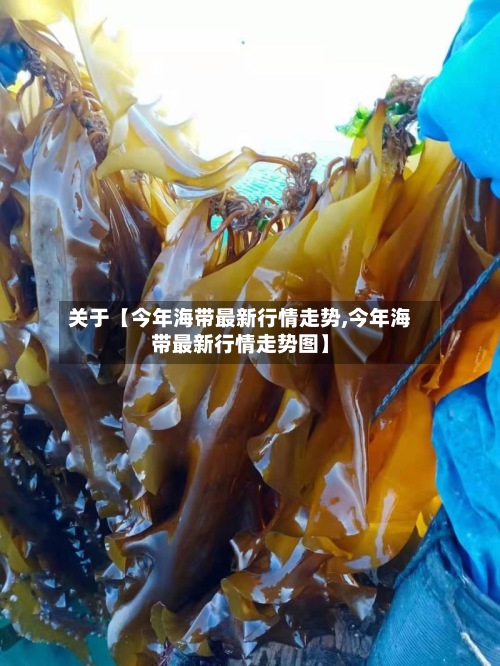 关于【今年海带最新行情走势,今年海带最新行情走势图】