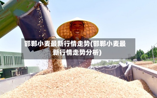 邯郸小麦最新行情走势(邯郸小麦最新行情走势分析)