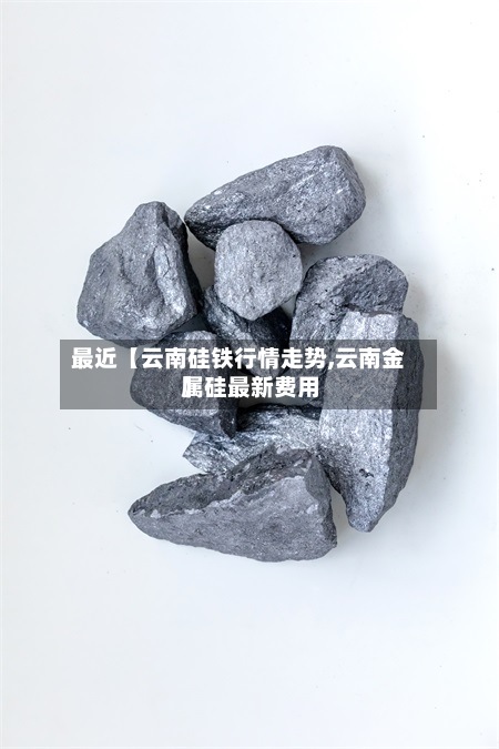 最近【云南硅铁行情走势,云南金属硅最新费用
】-第2张图片