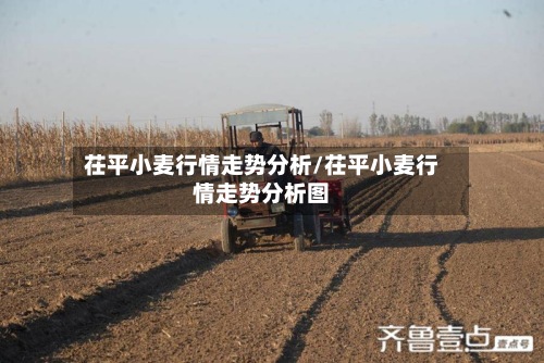 茌平小麦行情走势分析/茌平小麦行情走势分析图-第2张图片