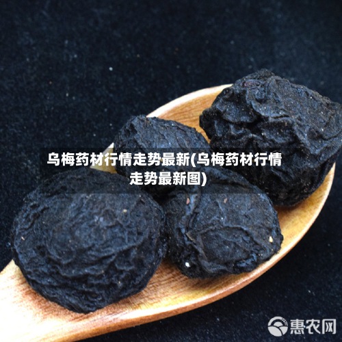 乌梅药材行情走势最新(乌梅药材行情走势最新图)-第2张图片