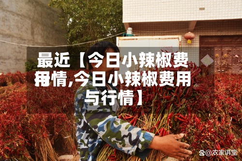 最近【今日小辣椒费用行情,今日小辣椒费用与行情】-第2张图片