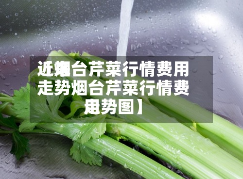 近来
【烟台芹菜行情费用
走势烟台芹菜行情费用
走势图】-第3张图片
