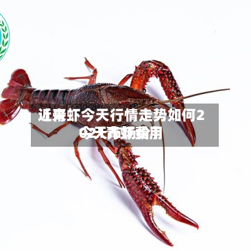 近来【青虾今天行情走势如何2021青虾费用今天市场价】-第3张图片