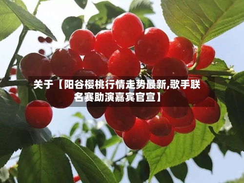 关于【阳谷樱桃行情走势最新,歌手联名赛助演嘉宾官宣】