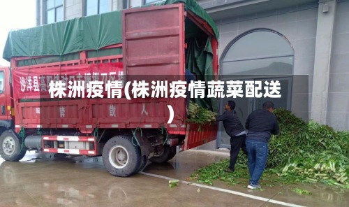 株洲疫情(株洲疫情蔬菜配送)-第2张图片